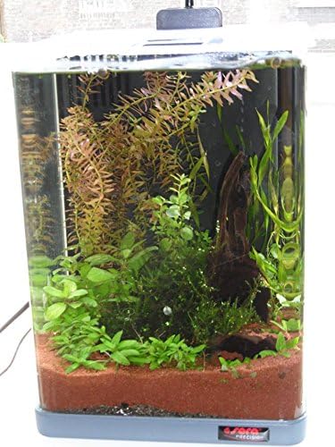 sera Biotop Nano LED Cube 16 - 16 l Süsswasser-Nano-Komplettaquarium mit LED Beleuchtung und