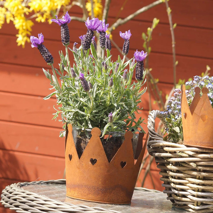 UNUS Krone Rost mit Herzen, Gartendeko Rostoptik, Edelrostrost Deko für Garten, Terrasse Balkon Blum