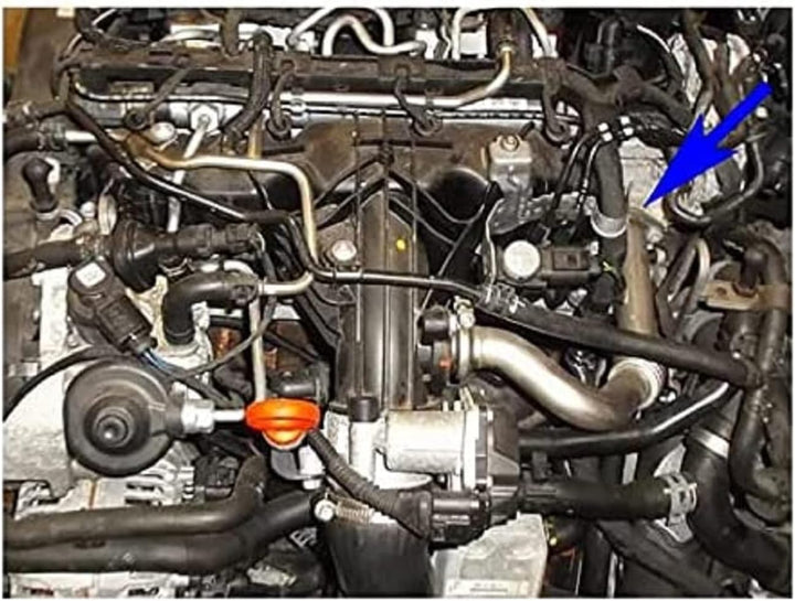 TBVPARTS Kit Ringmutter Ventil AGR 03L131512BB 03L131527AX Kompatibel Für Cffa Motor 2.0 Tdi A3 Shar