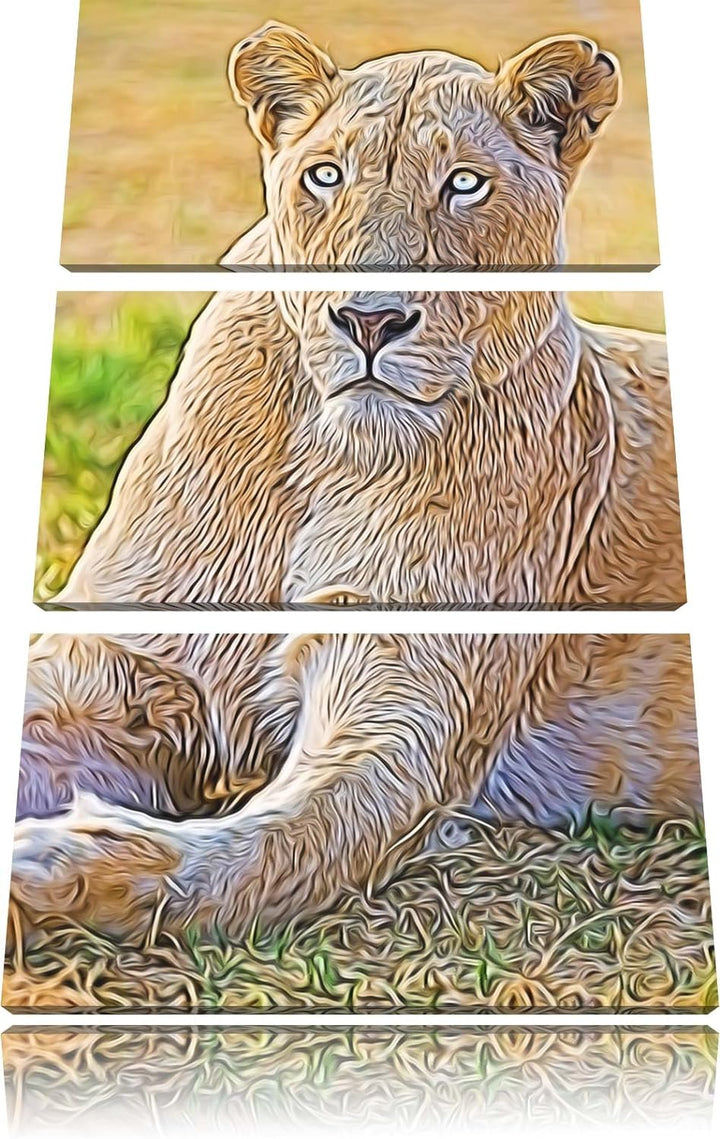 prächtige weisse Löwin Spezial 3-Teiler Leinwandbild 120x80 Bild auf Leinwand, XXL riesige Bilder fe