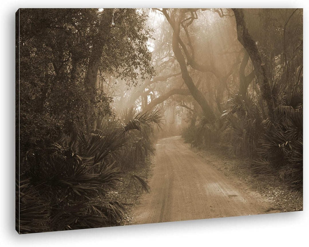 deyoli tropischer Waldweg Format: 80x60 Effekt: Sepia als Leinwand, Motiv fertig gerahmt auf Echthol