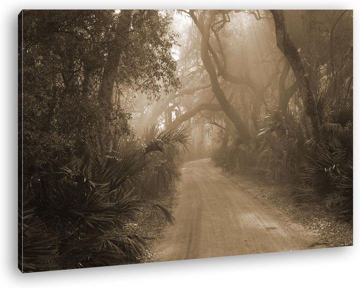 deyoli tropischer Waldweg Format: 80x60 Effekt: Sepia als Leinwand, Motiv fertig gerahmt auf Echthol