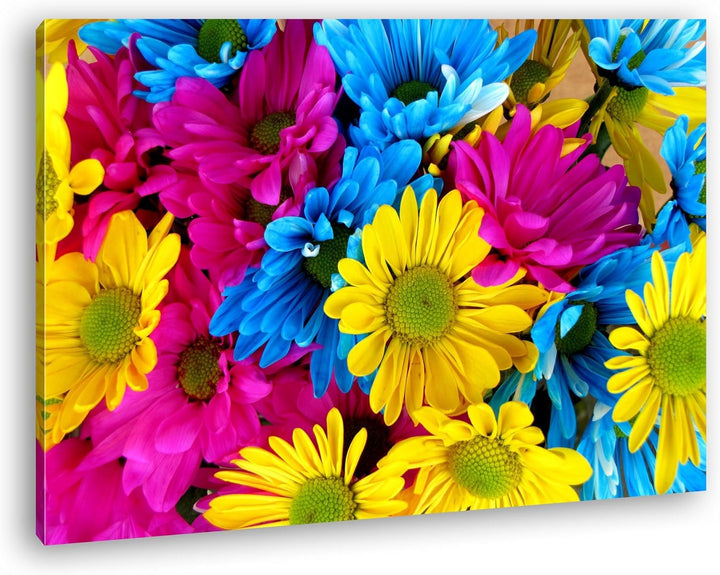 deyoli kunterbunte Gänseblümchen Format: 100x70 als Leinwandbild, Motiv fertig gerahmt auf Echtholzr