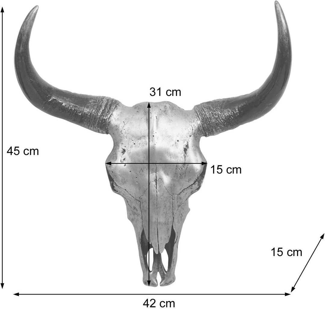 Mendler Deko Schädel 45cm HWC-T454, Polyresin Stier Bulle Longhorn Kopf Trophäe, In-/Outdoor - silbe
