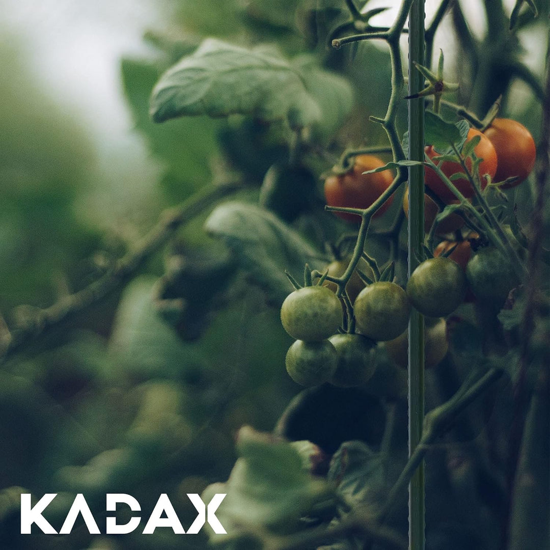 KADAX Blumenstütze aus Stahl 5 Stück, 120cm x 16mm Beschichtete Pflanzstab, Pflanzen-Rankstab, wette