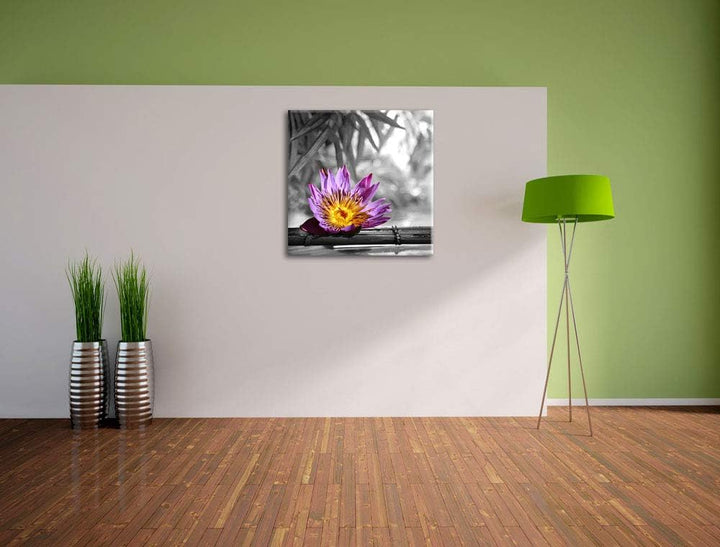 Pixxprint zarte Seerose auf Bambus als Leinwandbild Quadratisch/Grösse: 70x70 / Wandbild/Kunstdruck/