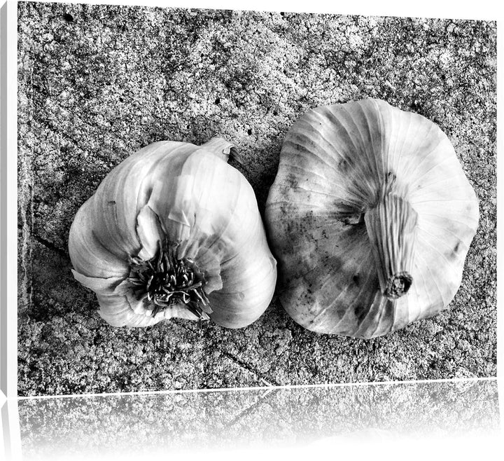 Pixxprint Zwei Knoblauchknollen / 100x70cm Leinwandbild bespannt auf Holzrahmen/Wandbild Kunstdruck