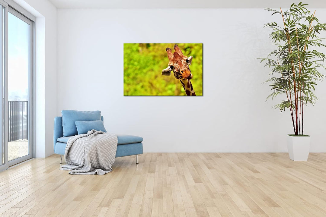 deyoli lustige Giraffe Format: 60x40 cm als Leinwandbild, Motiv fertig gerahmt auf Echtholzrahmen, H