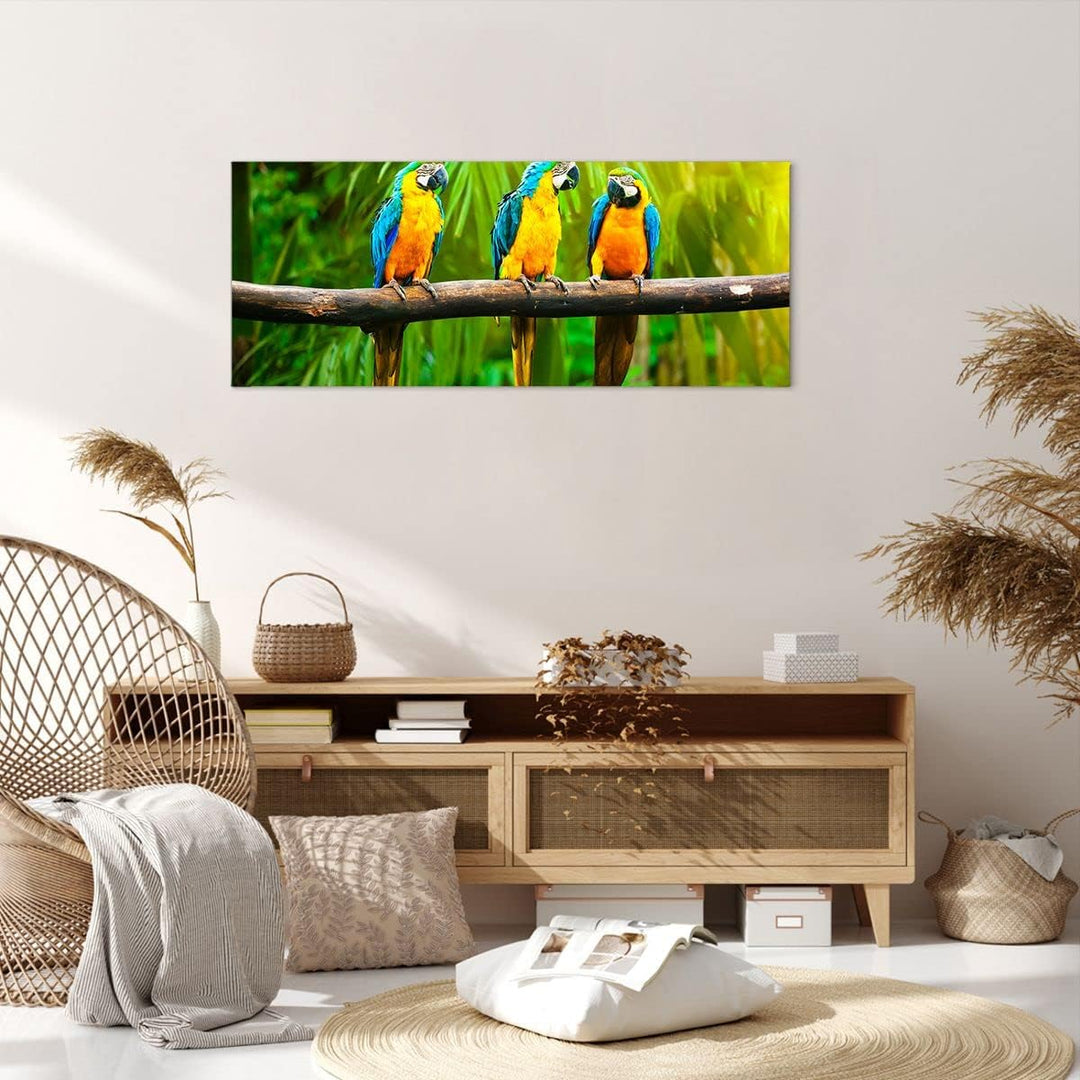 Wandbilder Dekoration Wohnzimmer Papageien Collorful Natur Vögel Panorama Bilder auf Leinwand 120x50