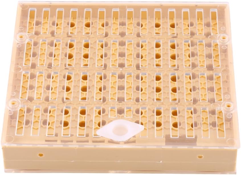 Bienenzucht Koffer Set, Imkerei Queen Aufzucht Cell Cups Kit Bee Bewahrer Werkzeuge Imkerei Ausrüstu
