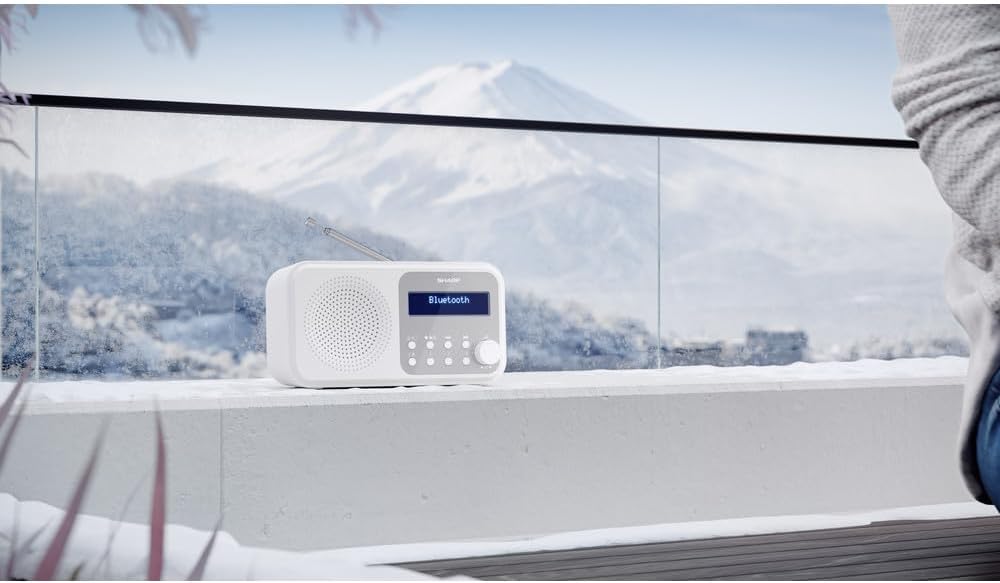 SHARP DR-P420 Portables Digitalradio (DAB/DAB+/FM mit RDS, USB, Bluetooth 5.0, 3,5mm Klinke Wecker-F