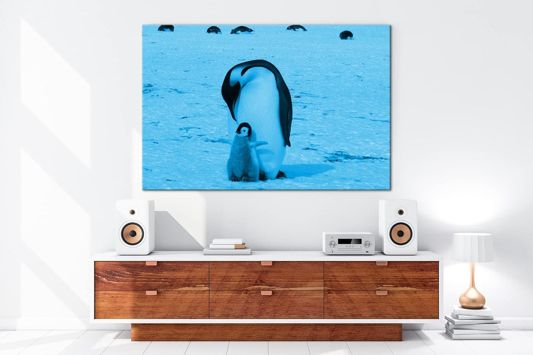 deyoli süsse Kaiserpinguine in der Antarktis Format 60x40 Effekt: Monocrome Blau als Leinwandbild, M