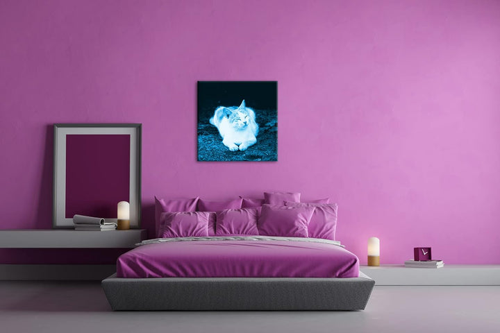 deyoli schläfrige Katze Format: 60x60 Effekt: Monocrome Blau als Leinwandbild, Motiv fertig gerahmt