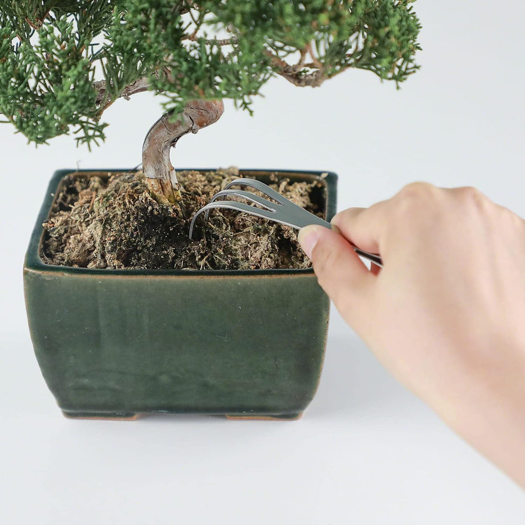 Wazakura 2-in-1 Bonsai-Pinzette mit Wurzelrechen aus Edelstahl 220mm, Hergestellt in Japan, Professi