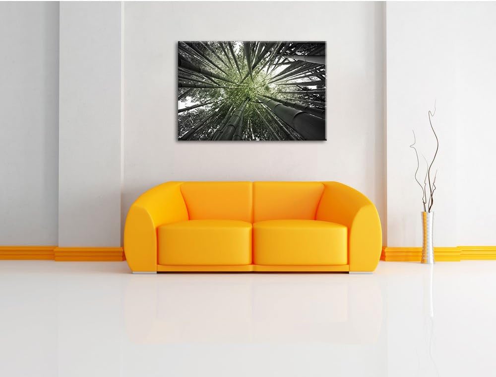 Grüner Bambus B&W Detail, Format: 100x70 auf Leinwand, XXL riesige Bilder fertig gerahmt mit Keilrah