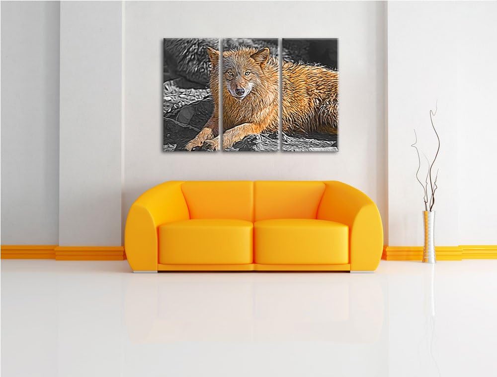 aufschauender maiestätischer Wolf schwarz/weiss Deluxe 3-Teiler Leinwandbild 120x80 Bild auf Leinwan