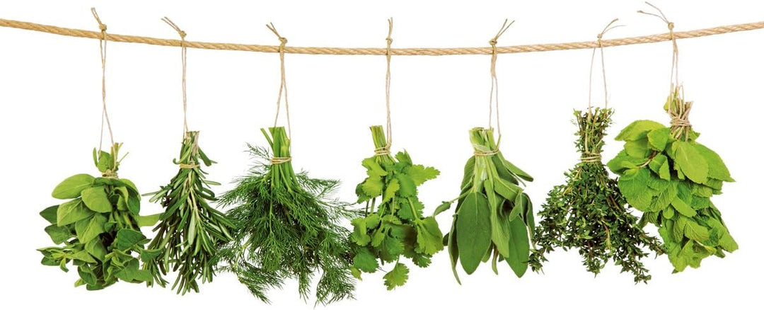 Eurographics Hanging Herbs 65x90 ESG-Küchenspritzschutz, Glas, Mehrfarbig, 90 x 65 x 0,5 cm