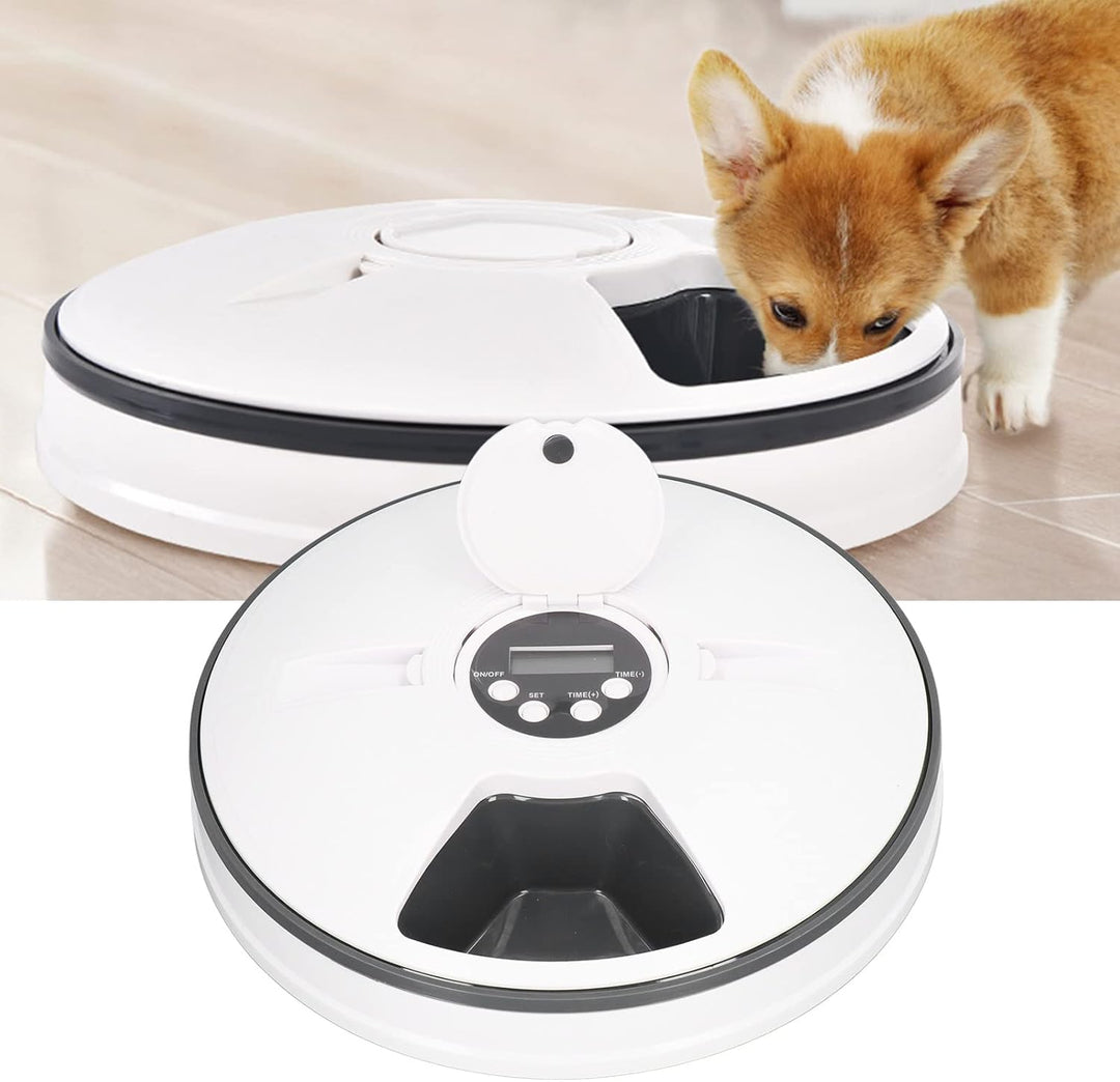 Qcwwy Zeitgesteuerter Katzenfutterautomat, automatischer Futterautomat für Kleintiere, automatischer