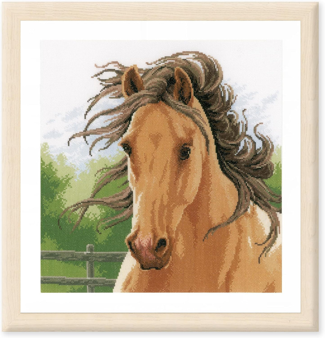 Lanarte PN-0178867 Pferd II Zählmuster Kreuzstichset, Baumwolle, mehrfarbig, ca. 35 x 35 cm / 14" x