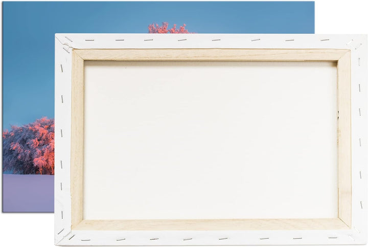 deyoli schneebedeckte Bäume Format: 80x60 als Leinwand, Motiv fertig gerahmt auf Echtholzrahmen, Hoc