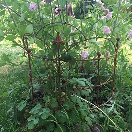 ecosoul Staudenhalter Strauchhalter bodennah 2-teilig rund Rankhilfe Beet Metall Eisen Rost Deko