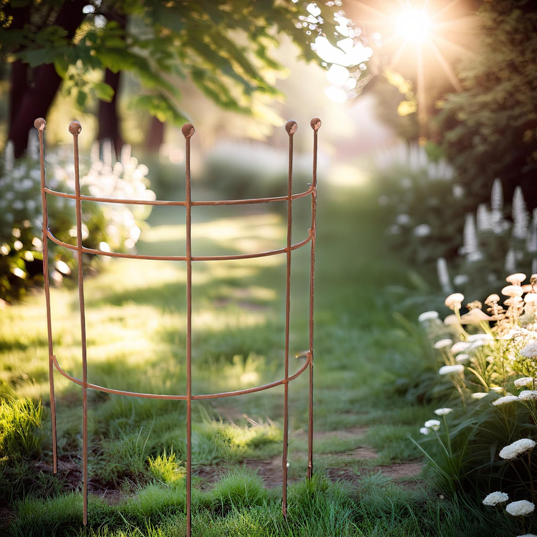 ecosoul Staudenhalter Strauchhalter Staudenstütze Rankgerüst halbrund braun Rost Rankhilfe Metall Ei