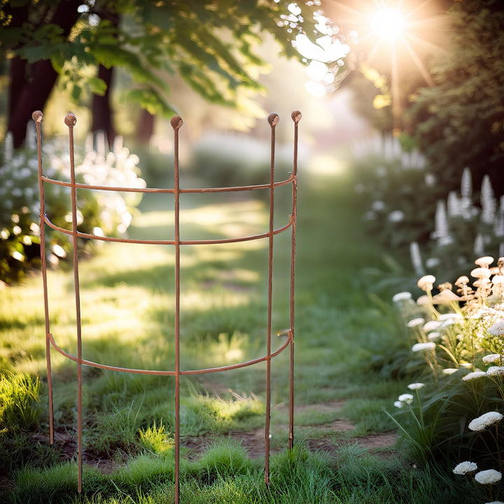 ecosoul Staudenhalter Strauchhalter Staudenstütze Rankgerüst halbrund braun Rost Rankhilfe Metall Ei