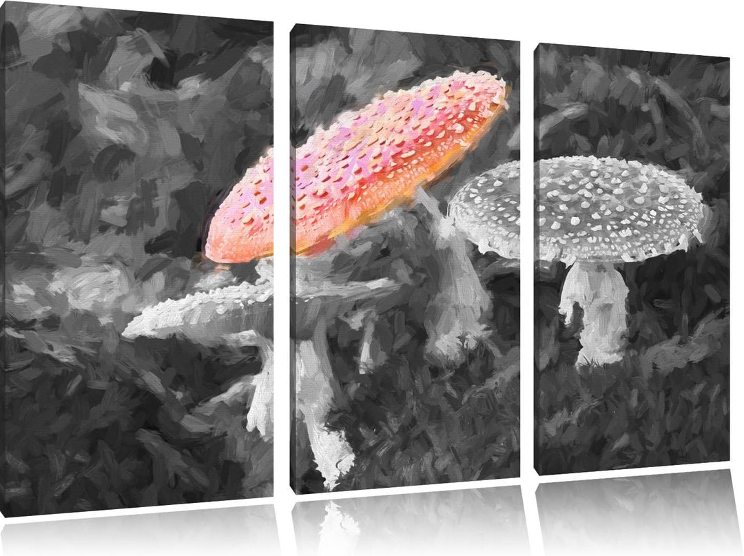 prächtige Fliegenpilze auf Waldboden schwarz/weiss Spezial 3-Teiler Leinwandbild 120x80 Bild auf Lei