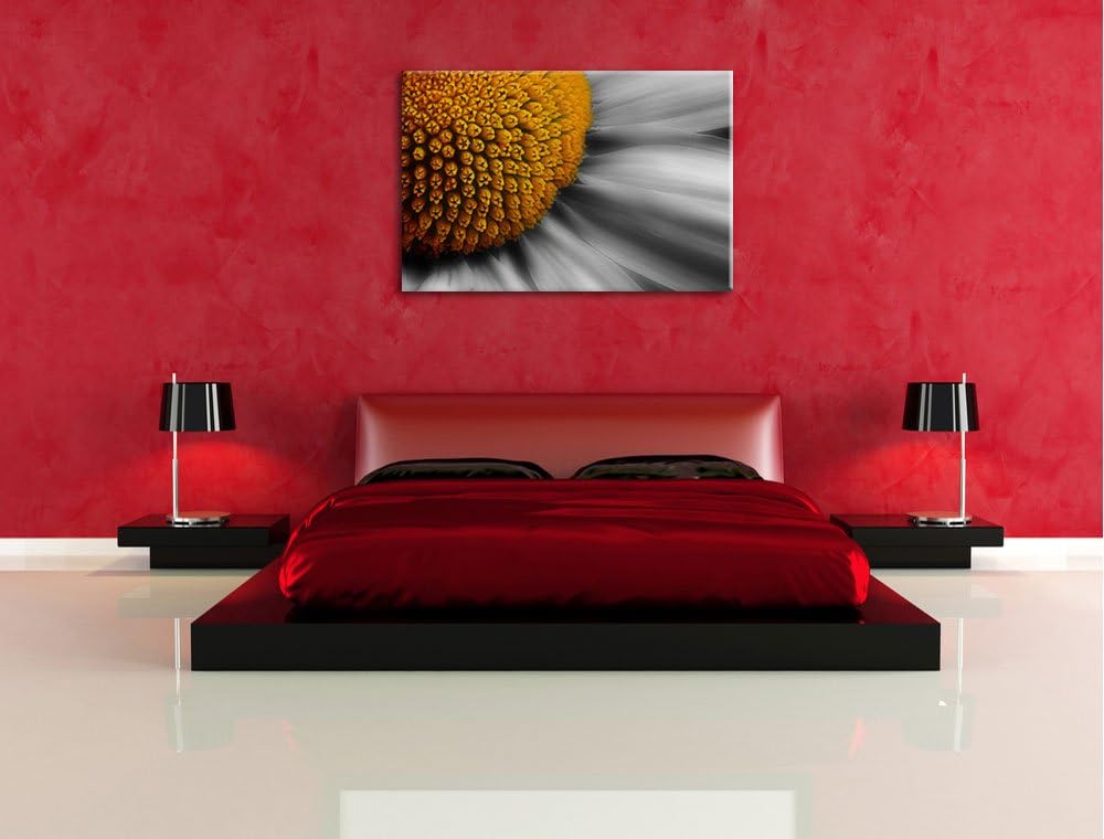 prächtige kleine Margerite schwarz/weiss auf Leinwand, XXL riesige Bilder fertig gerahmt mit Keilrah