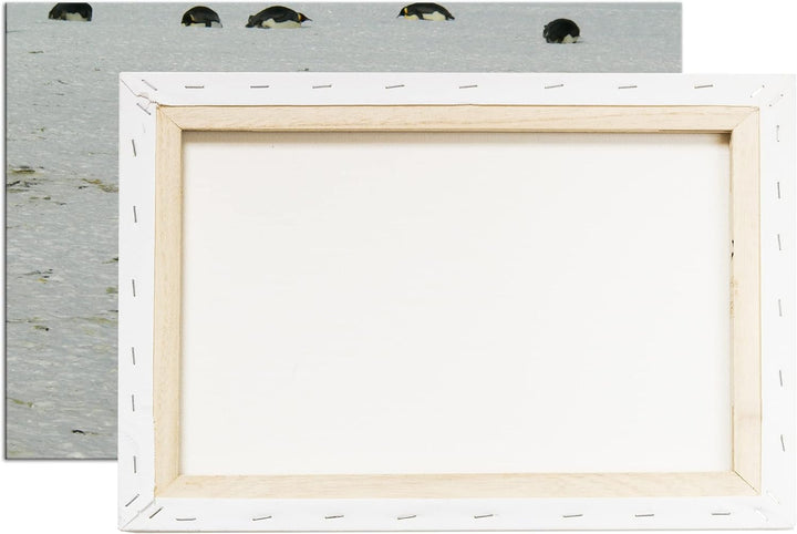 deyoli süsse Kaiserpinguine in der Antarktis im Format: 80x60 als Leinwandbild, Motiv fertig gerahmt