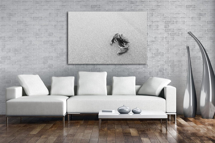 deyoli rote Krabbe im Sand Effekt: Schwarz/Weiss im Format: 80x60 als Leinwandbild, Motiv fertig ger