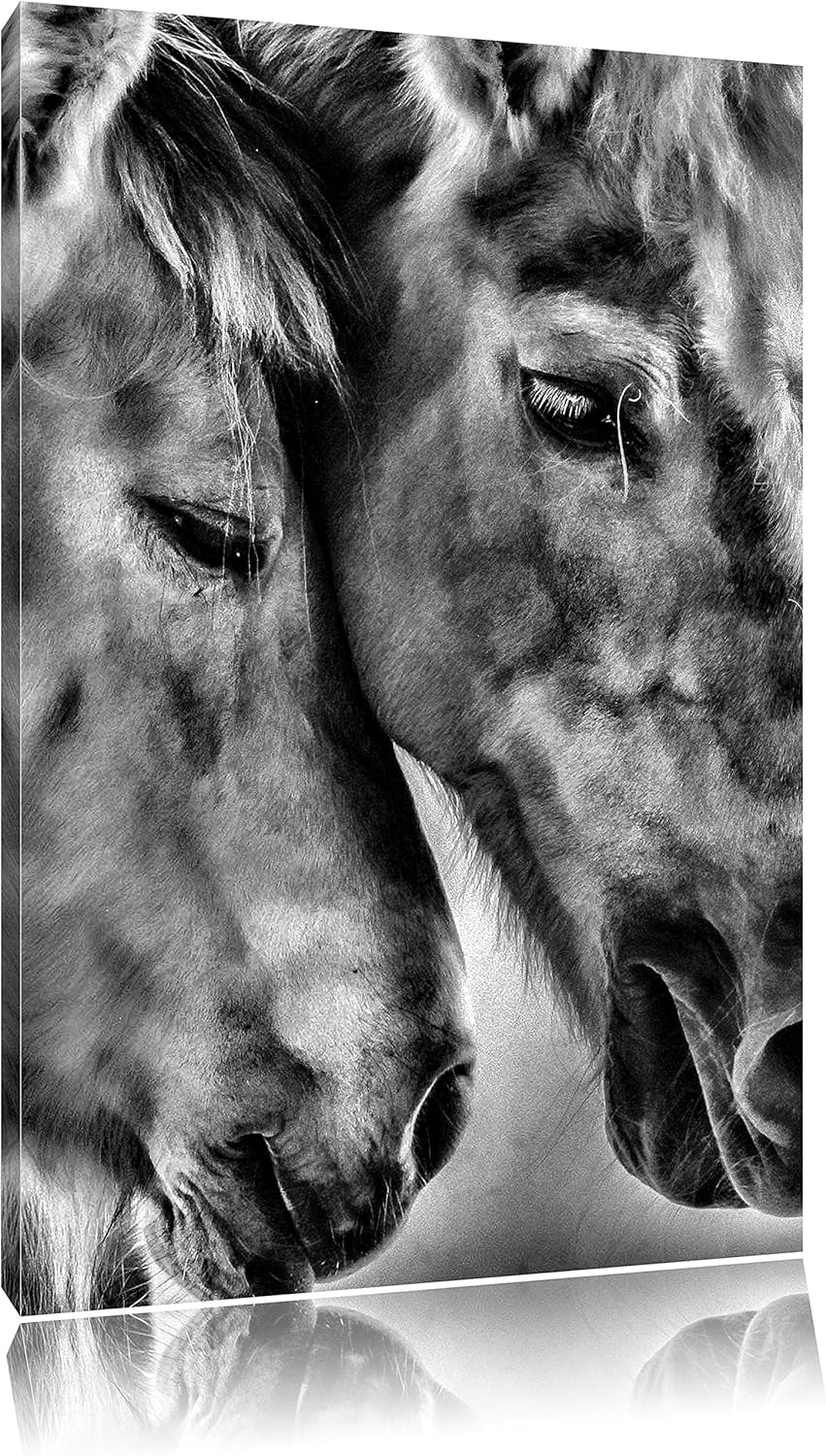 Pixxprint Zwei liebevolle Pferde / 100x70cm Leinwandbild bespannt auf Holzrahmen/Wandbild Kunstdruck