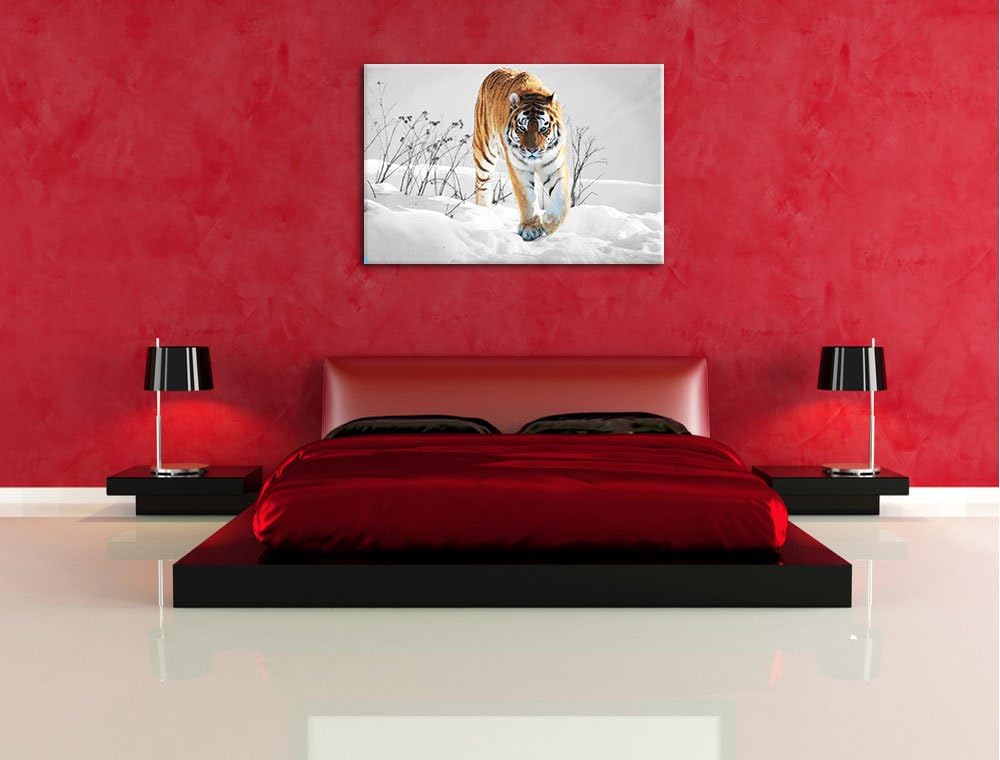 Grosser wilder Tiger im Schnee schwarz/weiss Format: 100x70 auf Leinwand, XXL riesige Bilder fertig