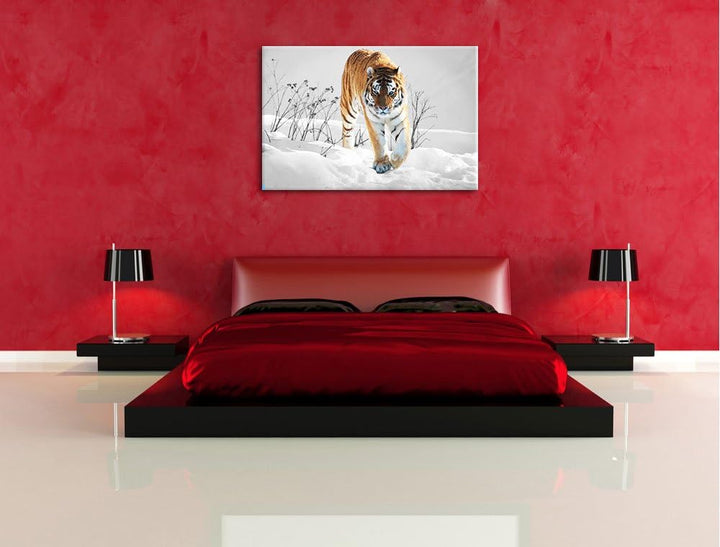Grosser wilder Tiger im Schnee schwarz/weiss Format: 100x70 auf Leinwand, XXL riesige Bilder fertig
