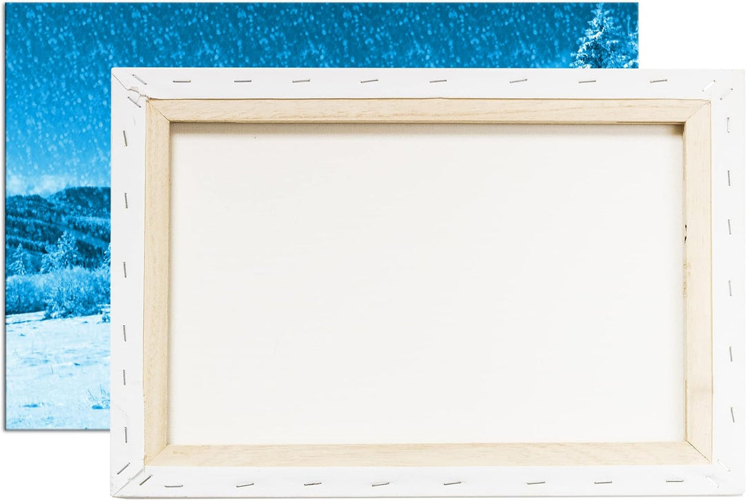 deyoli Tiger im Schneesturm Format 80x60 Effekt: Monocrome Blau als Leinwandbild, Motiv fertig gerah