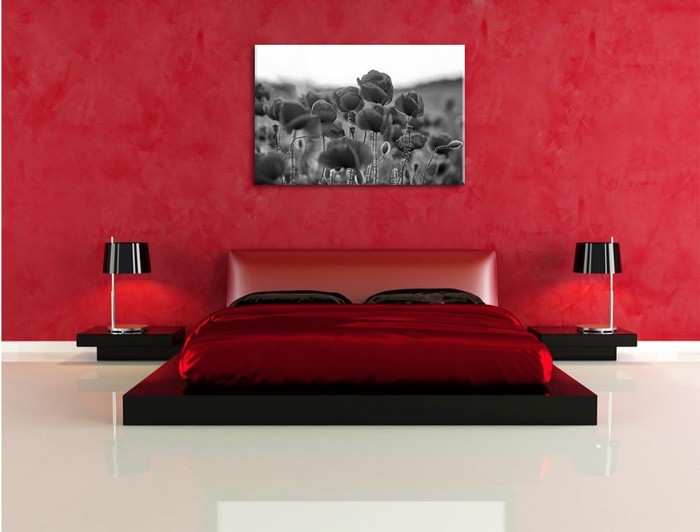 Feuriger Mohn Kunst B&W, Format: 100x70 auf Leinwand, XXL riesige Bilder fertig gerahmt mit Keilrahm