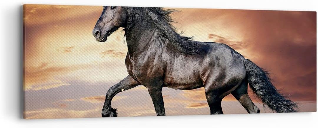 Panorama Bilder auf Leinwand Pferd Tier Wiese Leinwandbild mit Rahmen 90x30cm Wandbilder Dekoration