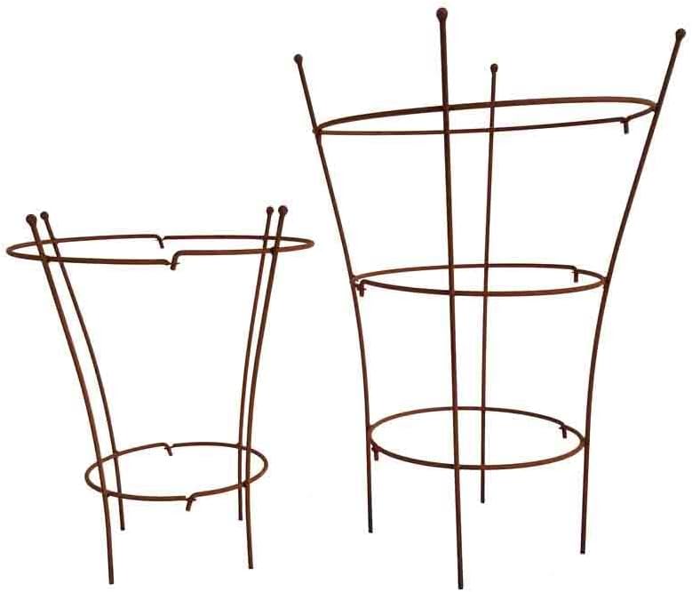 KUHEIGA 2er Set Staudenhalter Rostig aus Höhe: 60cm und 85cm - 2 TLG. Strauchhalter Rankgerüst, Rost