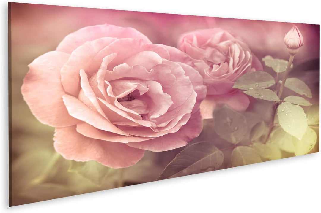 islandburner Bild auf Leinwand Abstrakt Pastel Rosa Rosen Mit Wassertropfen Bilder Wandbilder Poster