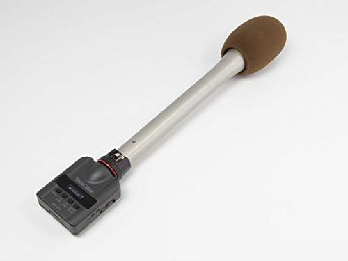 Tascam DR-10X – Audiorecorder zum Aufstecken auf ein Mikrofon, Schwarz Single, Single