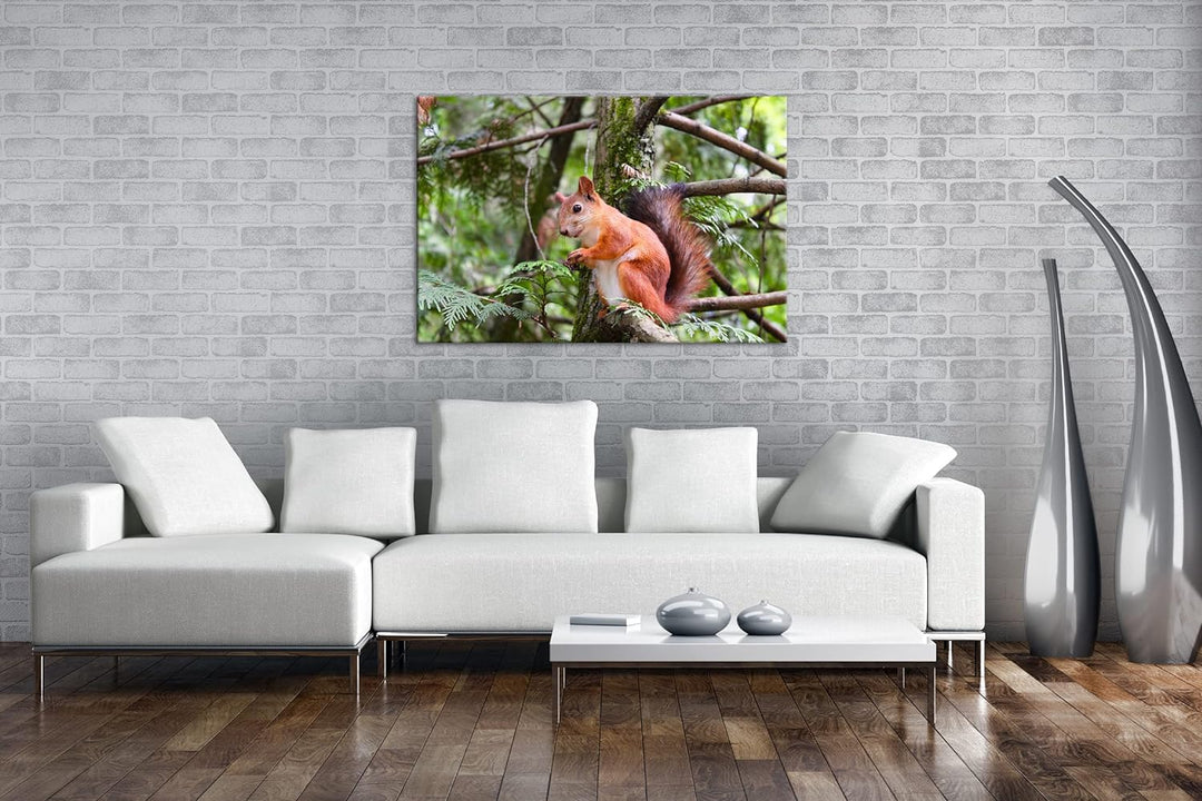 deyoli niedliches Eichhörnchen Format: 80x60 als Leinwand, Motiv fertig gerahmt auf Echtholzrahmen,