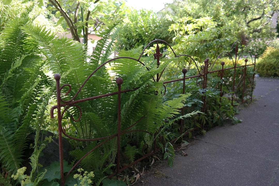 Gerry Beetzaun Zaun Zaunelement Gartenzaun Rankhilfe Stütze Pflanzen Schmetterling Eisen Rost Deko 5
