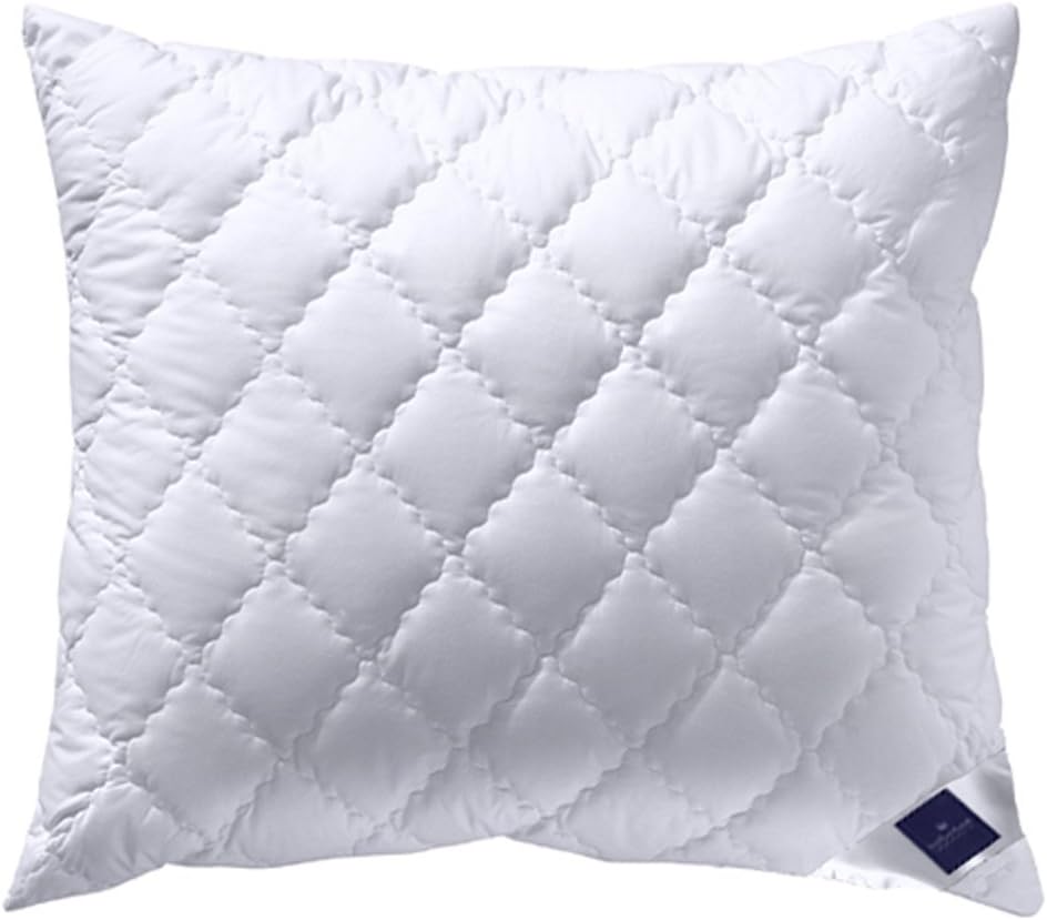 Billerbeck 5453290008 Kissen E45 Bamboo N, circa 70 x 90 cm
