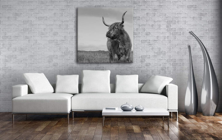 deyoli riesige Kuh auf Einer Landschaft im Format: 60x60 Effekt: Schwarz&Weiss als Leinwandbild, Mot