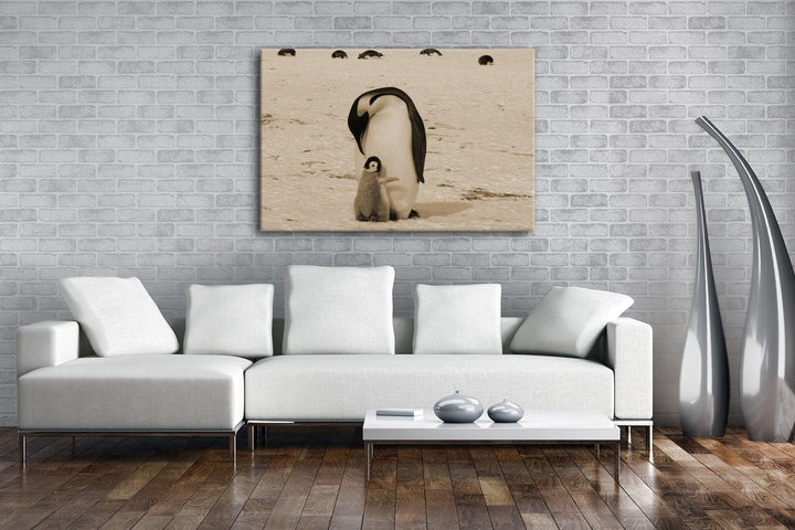 deyoli süsse Kaiserpinguine in der Antarktis Format: 100x70 Effekt: Sepia als Leinwandbild, Motiv fe