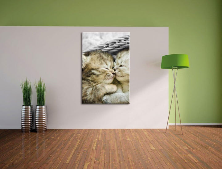 Pixxprint Zwei süsse Babykatzen im Korb als Leinwandbild/Grösse: 120x80 cm/Wandbild/Kunstdruck/ferti
