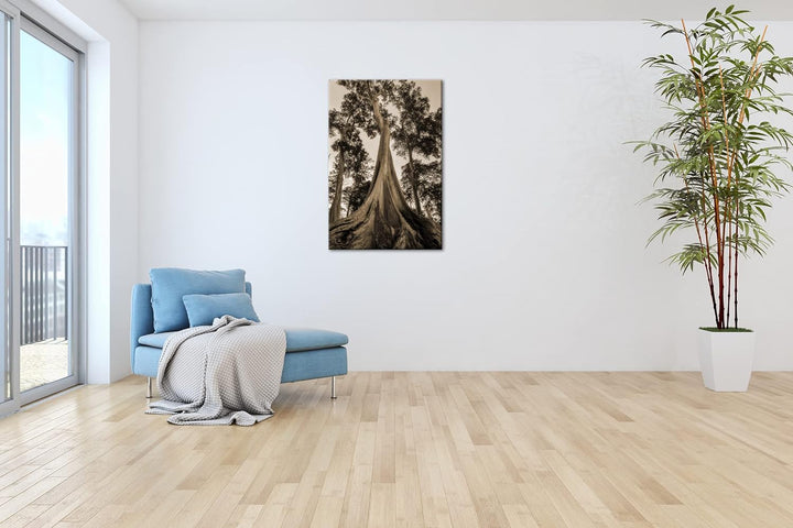 deyoli märchenhafter Baum Format: 100x70 cm Effekt: Sepia als Leinwandbild, Motiv fertig gerahmt auf