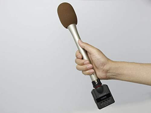 Tascam DR-10X – Audiorecorder zum Aufstecken auf ein Mikrofon, Schwarz Single, Single