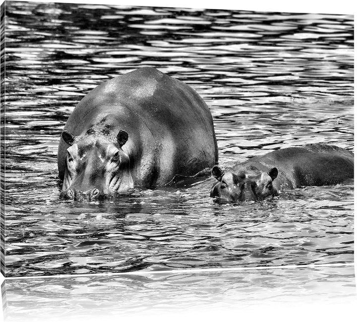Pixxprint Zwei Flusspferde im hohen Wasser als Leinwandbild/Grösse: 100x70 / Wandbild/Kunstdruck/fer
