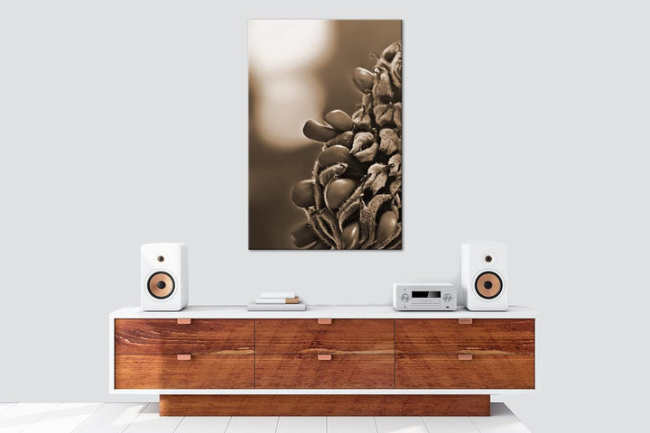 deyoli Südliche Magnolie Stierbucht Format: 80x60 Effekt: Sepia als Leinwandbild, Motiv fertig gerah